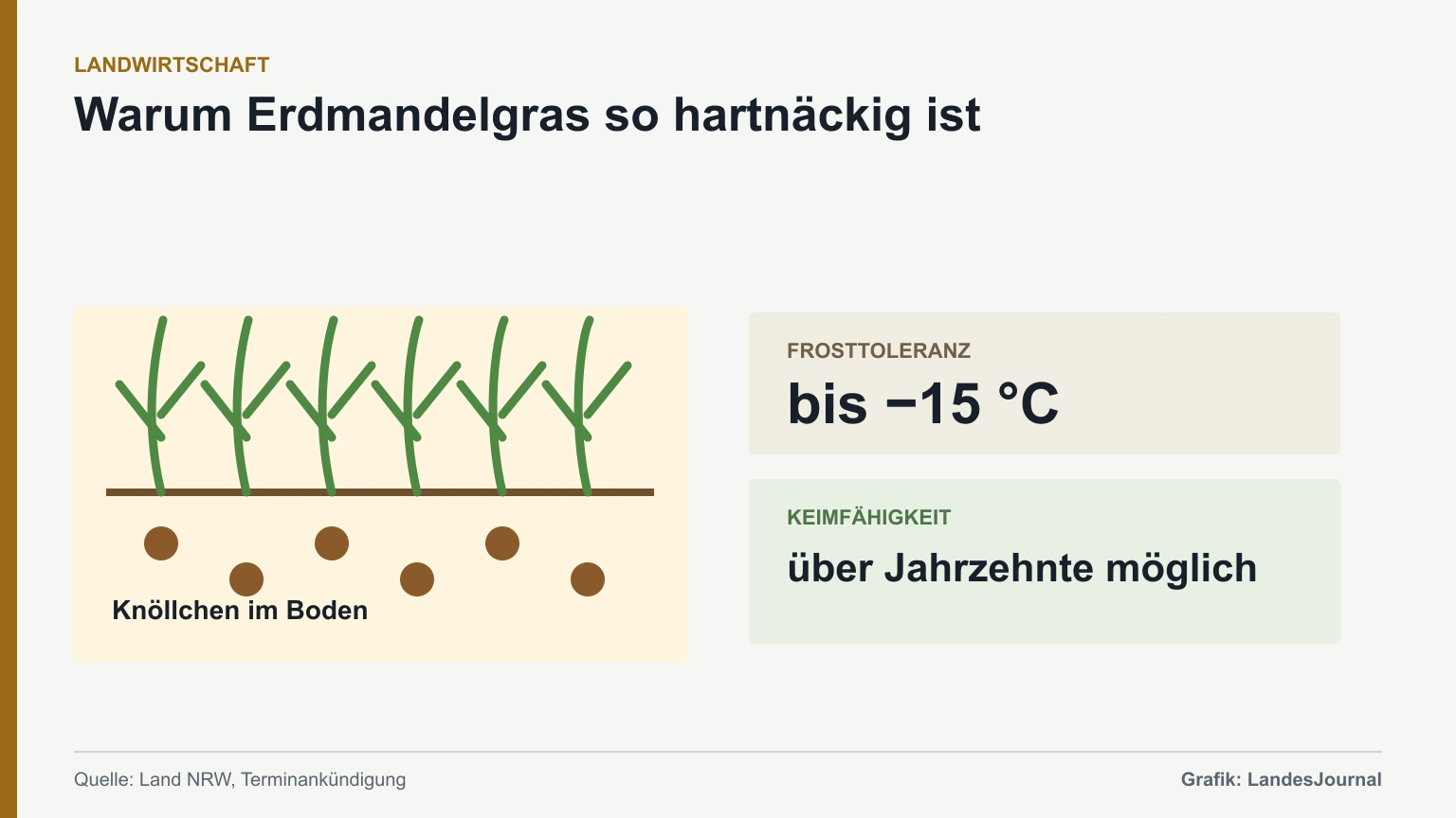 Grafik zu Frosttoleranz und langer Keimfähigkeit der Knöllchen des Erdmandelgrases.