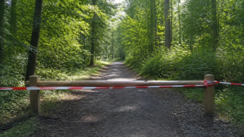 KI-generiertes Symbolbild eines abgesperrten Waldwegs im Hürtgenwald nach einem Feuerwehreinsatz.